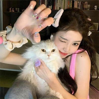 天使爱美丽 海报