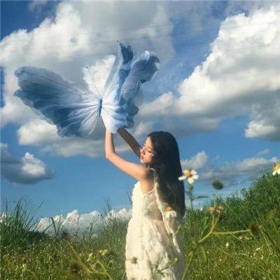 强迫入侵 海报